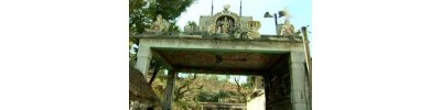 041. திருவயிந்திரபுரம் (அயிந்தை)